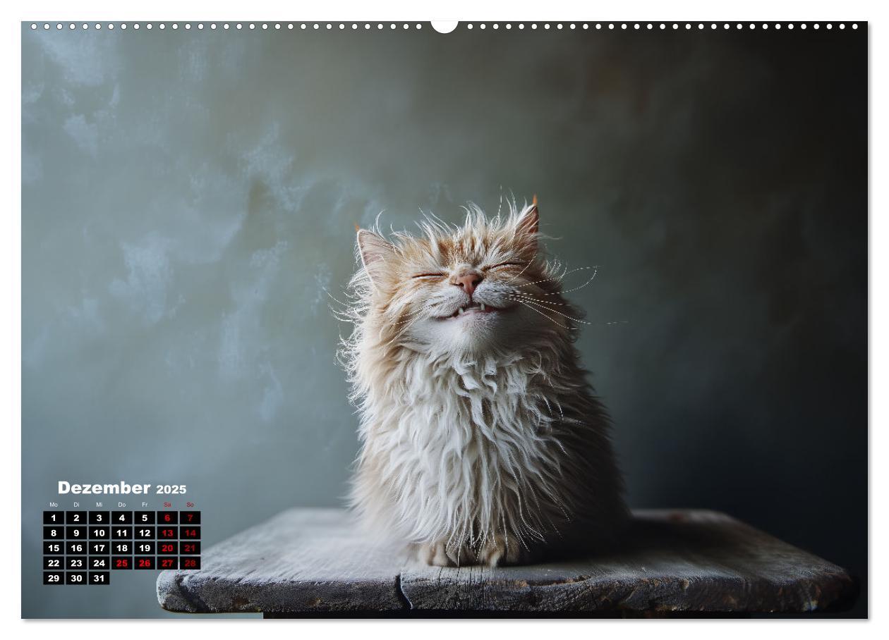 Bild: 9783457202036 | Auch Katzen lachen gern (Wandkalender 2025 DIN A2 quer), CALVENDO...