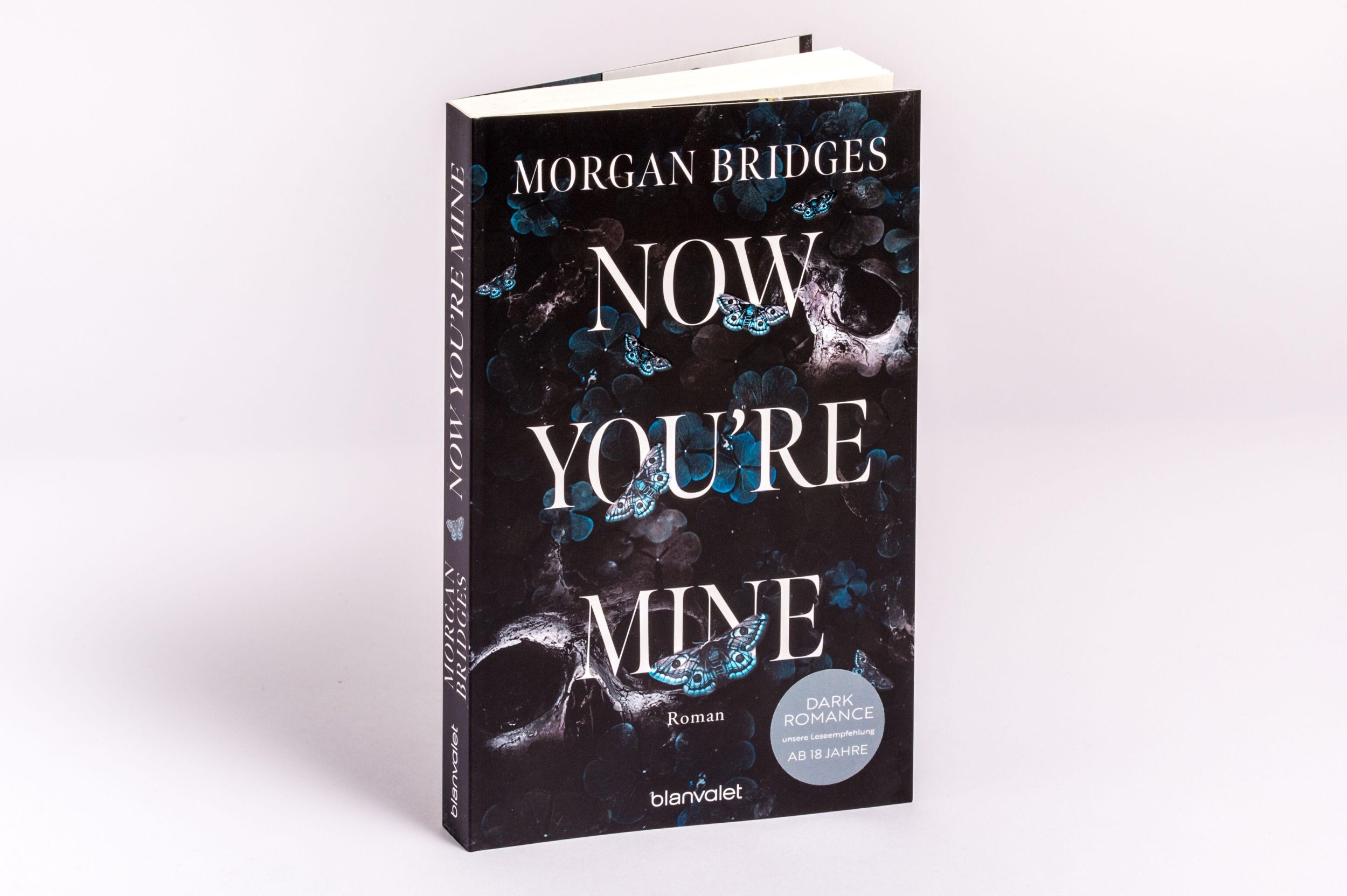 Bild: 9783734114533 | Now You're Mine | Morgan Bridges | Taschenbuch | Possessing Her | 2025