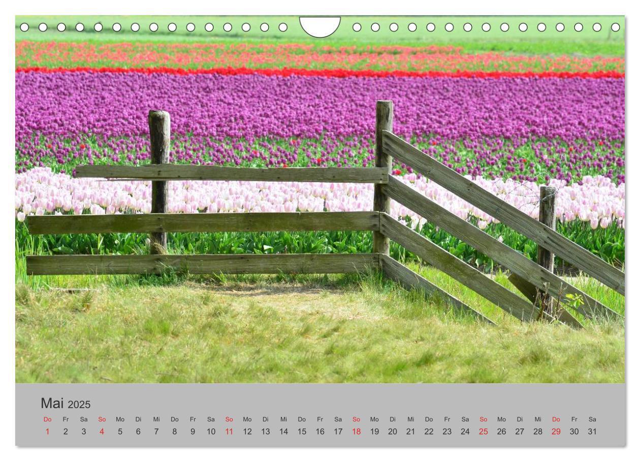 Bild: 9783435500260 | Impressionen von Texel (Wandkalender 2025 DIN A4 quer), CALVENDO...