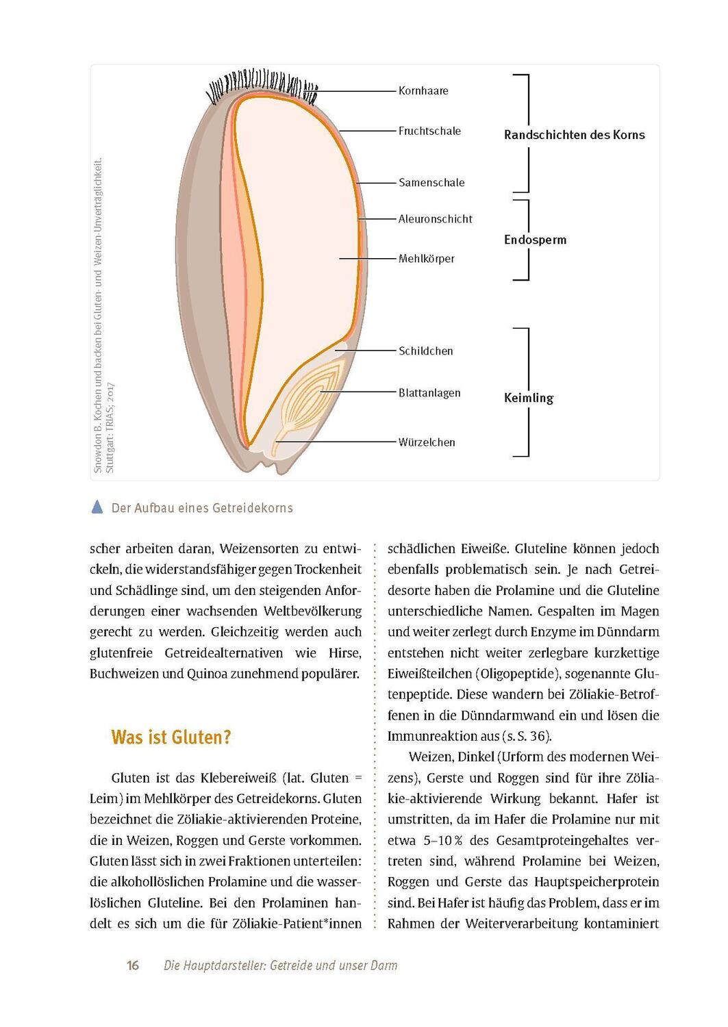 Bild: 9783432117805 | Zöliakie | Markus Escher | Taschenbuch | Broschiert (KB) | 128 S.