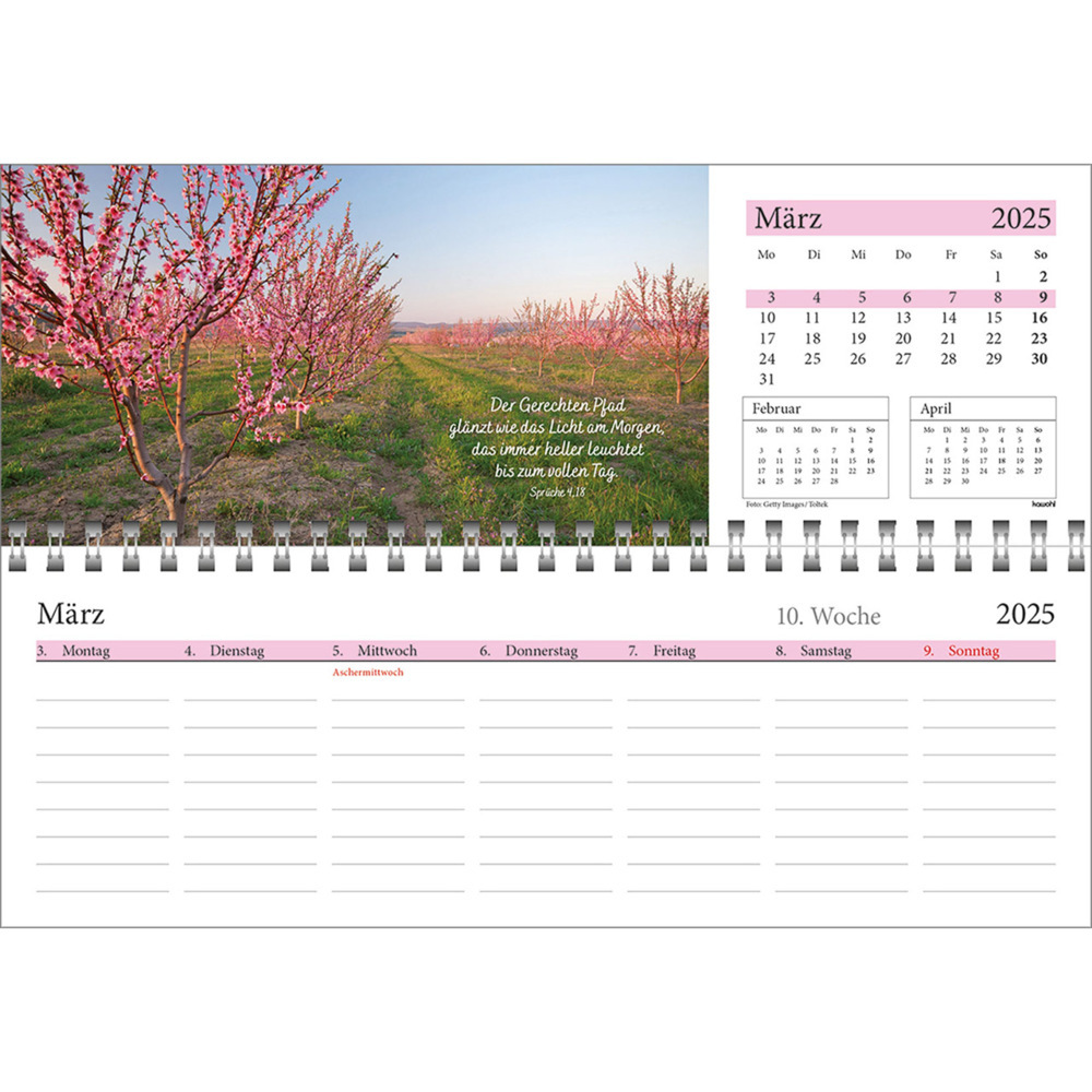 Bild: 9783754825457 | In deine Hand leg ich den Tag 2025 | Wochen-Tischkalender | Kalender