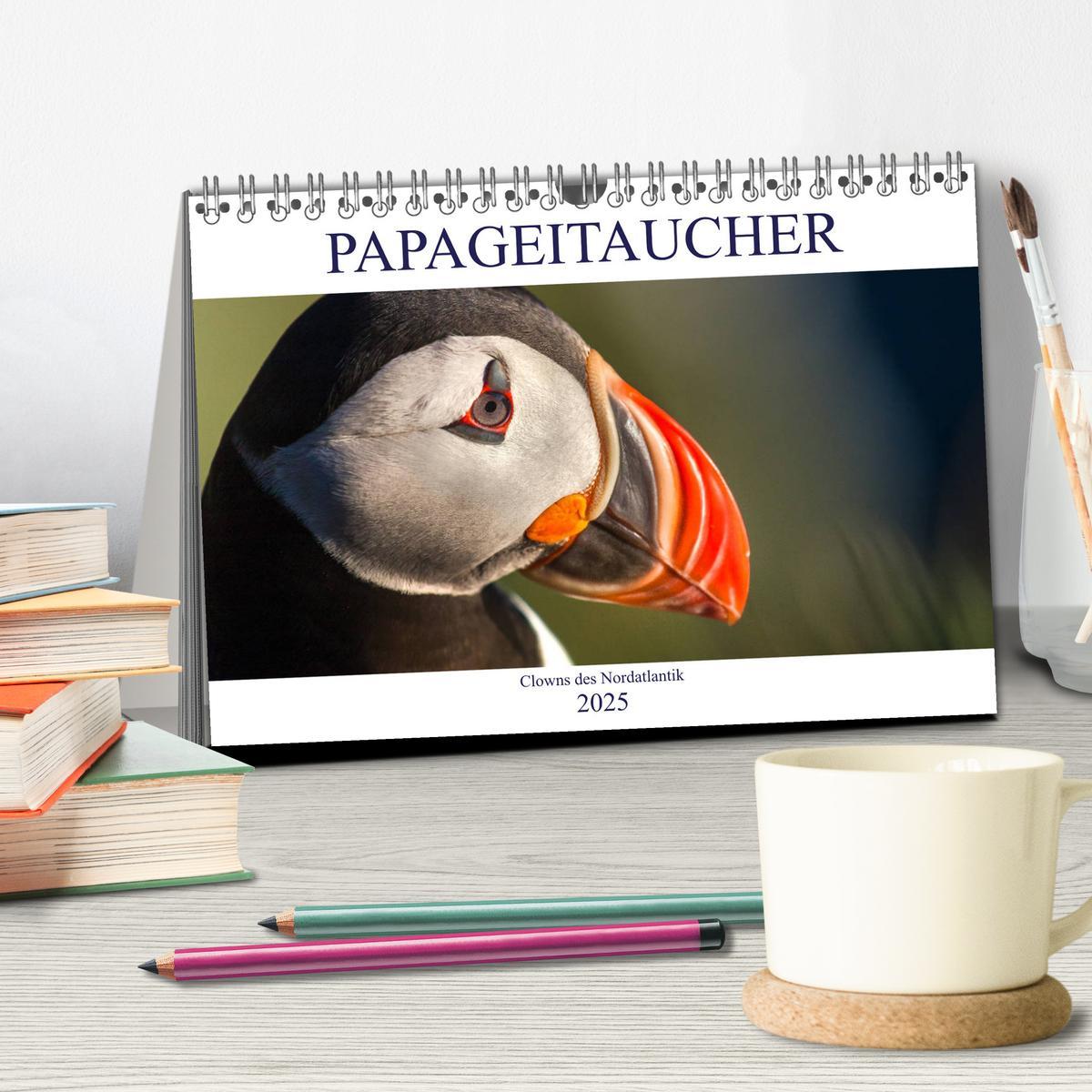 Bild: 9783435443871 | Papageitaucher: Clowns des Nordatlantik (Tischkalender 2025 DIN A5...