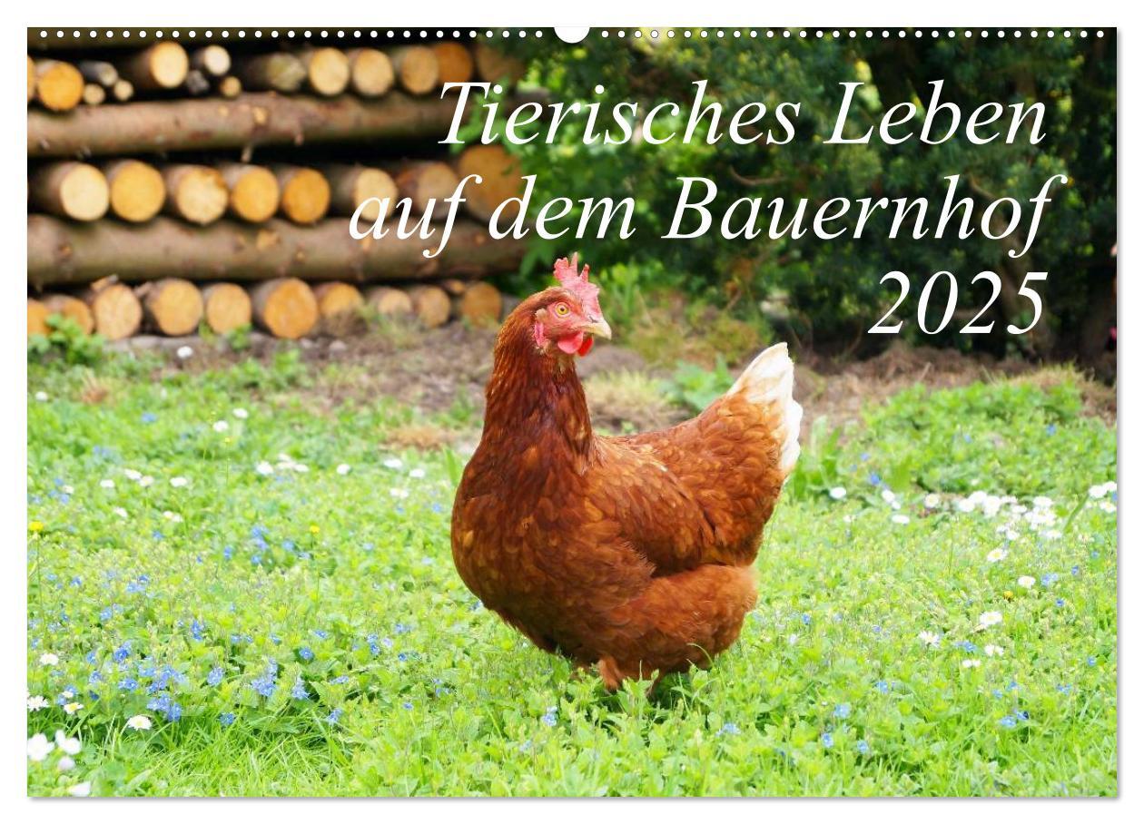 Cover: 9783435493630 | Tierisches Leben auf dem Bauernhof 2025 (Wandkalender 2025 DIN A2...