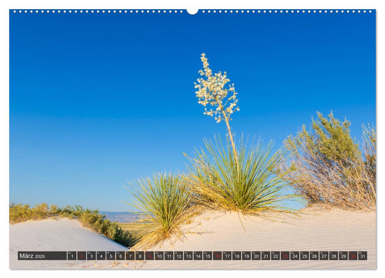 Bild: 9783435209835 | WHITE SANDS Die weiße Wüste in New Mexico (Wandkalender 2025 DIN A2...