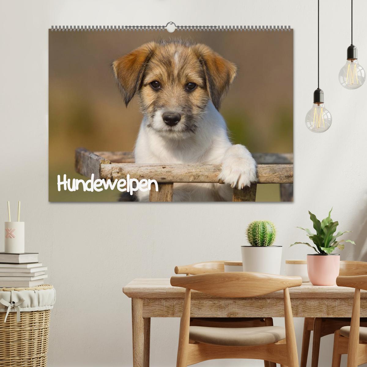 Bild: 9783435822652 | Hundewelpen (Wandkalender 2025 DIN A2 quer), CALVENDO Monatskalender