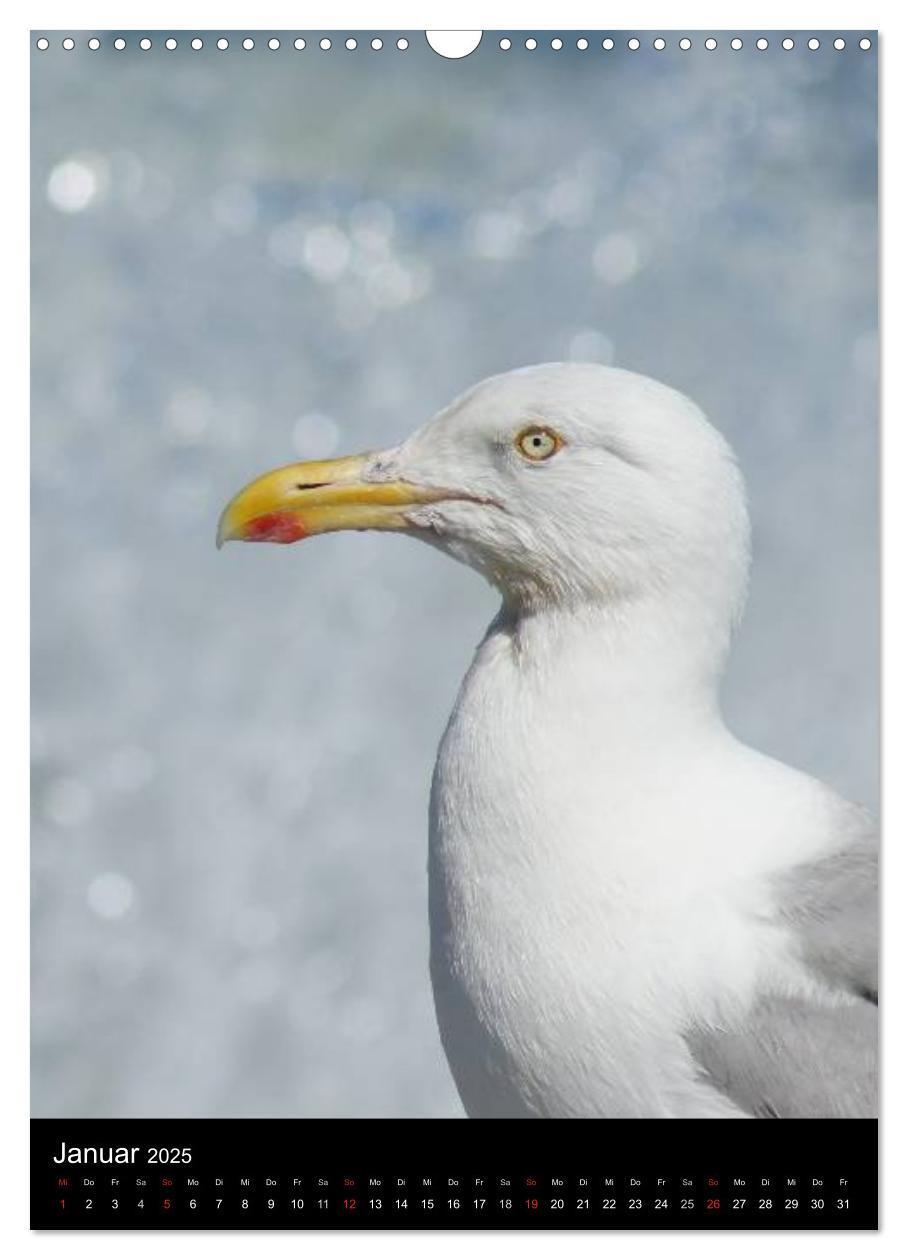 Bild: 9783457082706 | Helgoland in der Nordsee (Wandkalender 2025 DIN A3 hoch), CALVENDO...