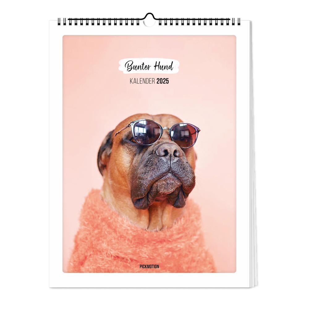 Cover: 4251781179249 | Wandkalender 2025 - Bunter Hund | Pickmotion | Kalender | Deutsch