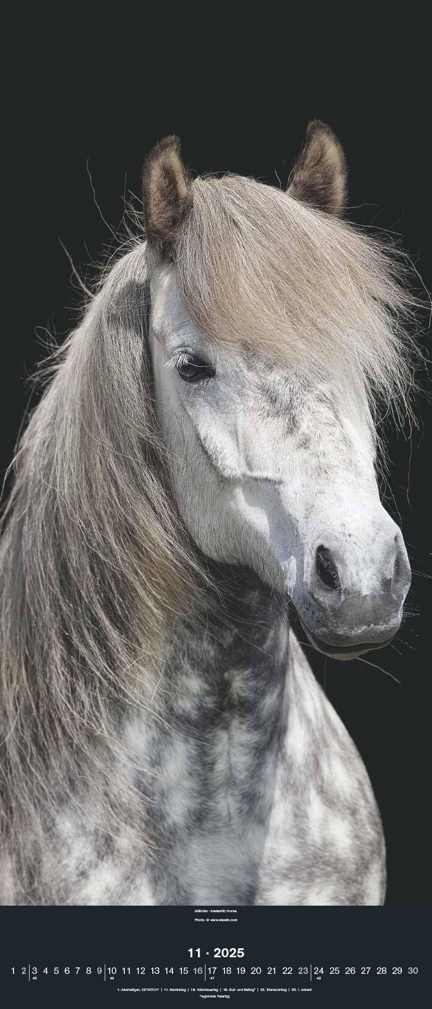 Bild: 4002725994202 | Beautiful Horses 2025 - Foto-Kalender - Wand-Kalender - 30x70 | 28 S.