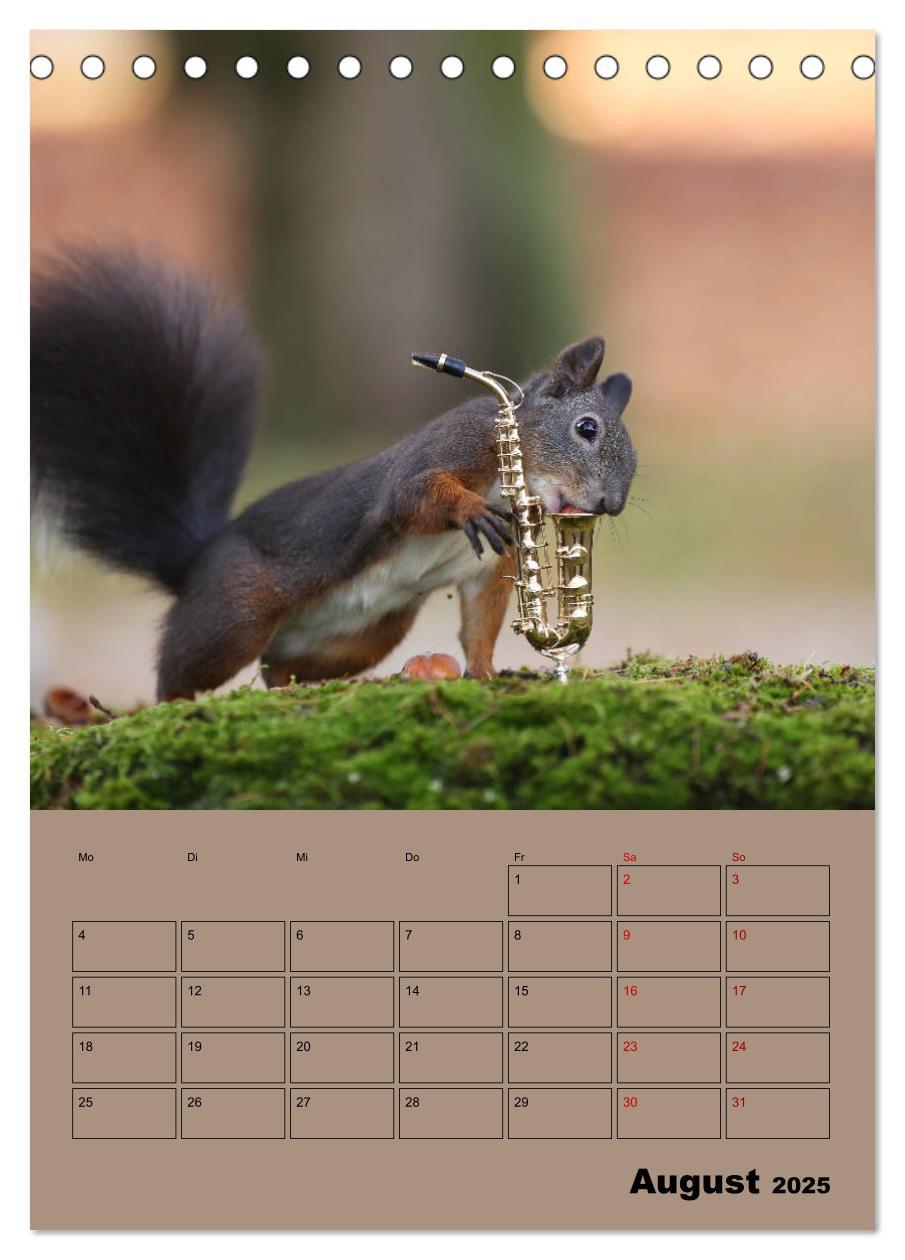 Bild: 9783435991075 | Eichhörnchen - Planer (Tischkalender 2025 DIN A5 hoch), CALVENDO...