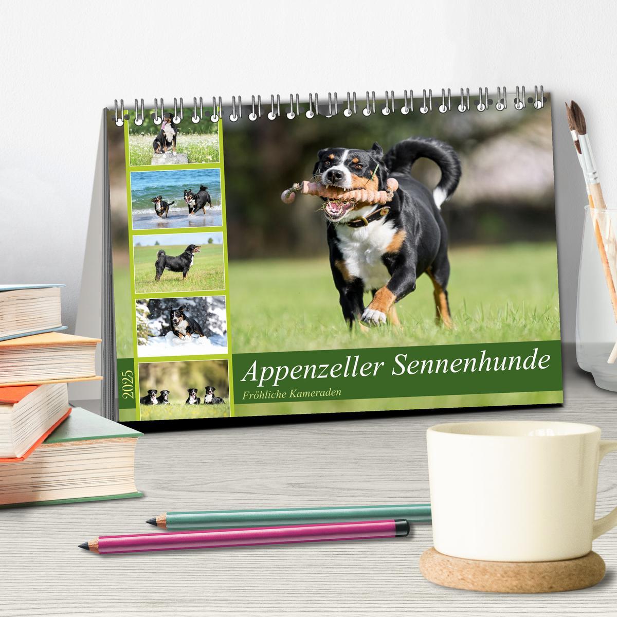 Bild: 9783383850127 | Appenzeller Sennenhunde - Fröhliche Kameraden (Tischkalender 2025...