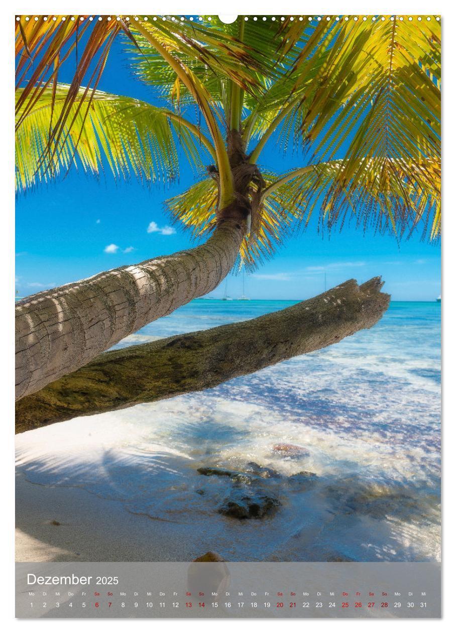 Bild: 9783435915682 | Karibischer Traum Isla Saona (Wandkalender 2025 DIN A2 hoch),...