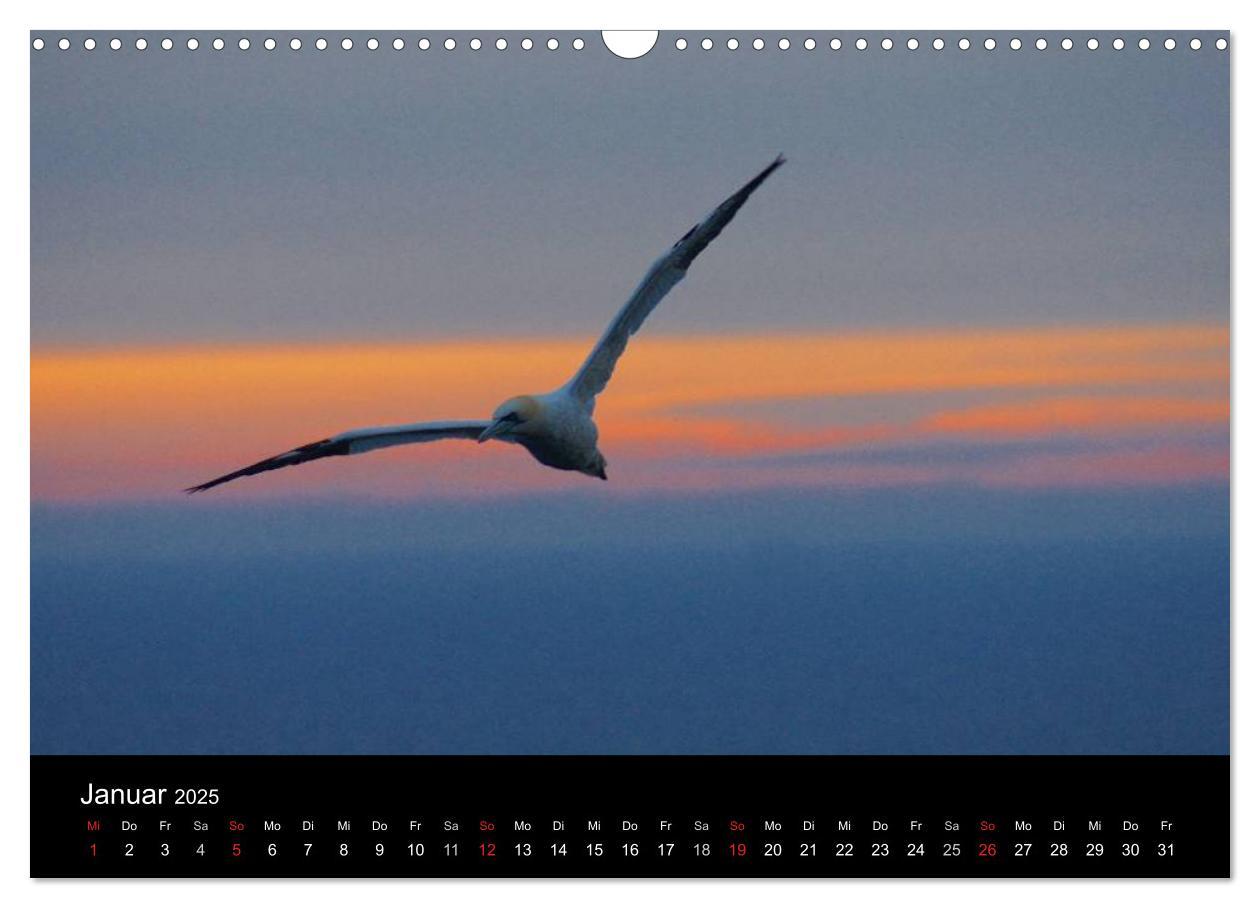 Bild: 9783435806362 | Abend in Helgoland (Wandkalender 2025 DIN A3 quer), CALVENDO...