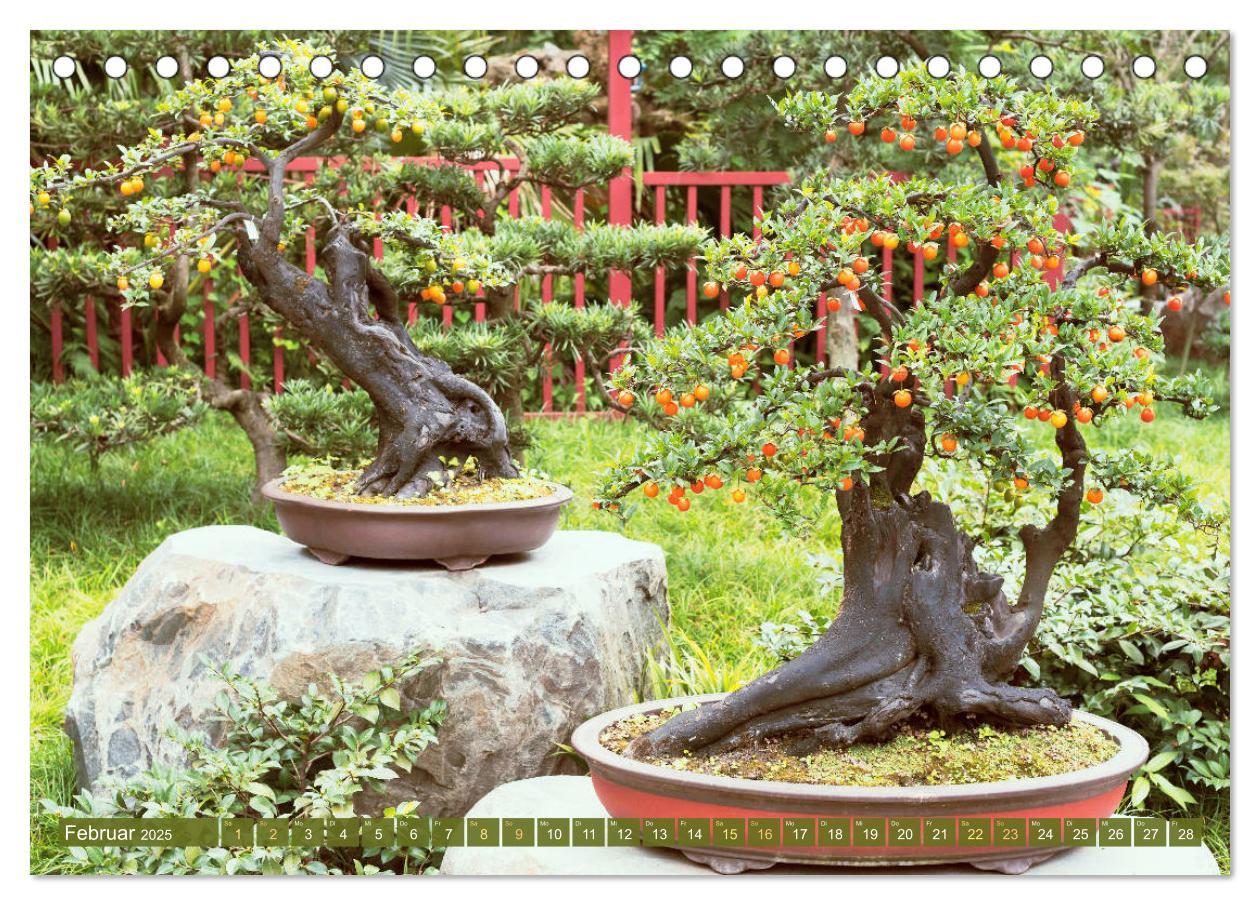 Bild: 9783457198148 | Gartenkunst aus Japan: Bonsai (Tischkalender 2025 DIN A5 quer),...