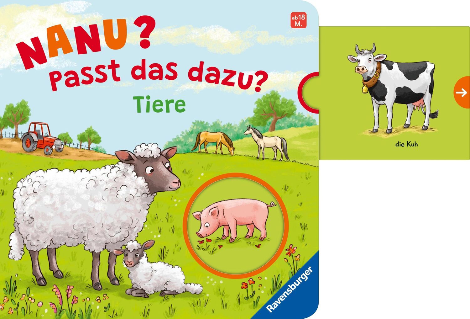 Bild: 9783473420261 | Nanu? Passt das dazu? Tiere | Bernd Penners | Buch | 12 S. | Deutsch