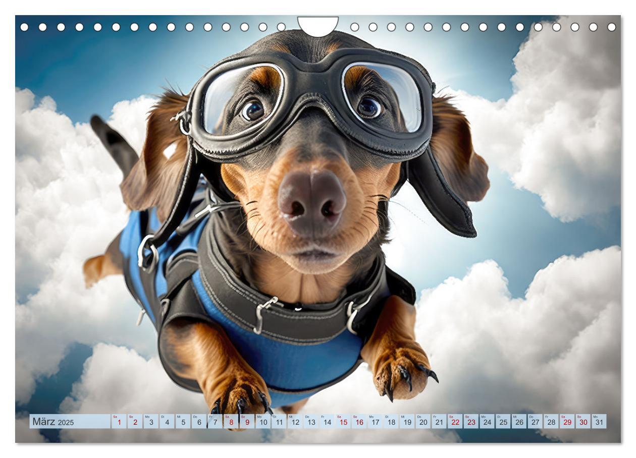 Bild: 9783383867149 | Hunde Skydiving (Wandkalender 2025 DIN A4 quer), CALVENDO...