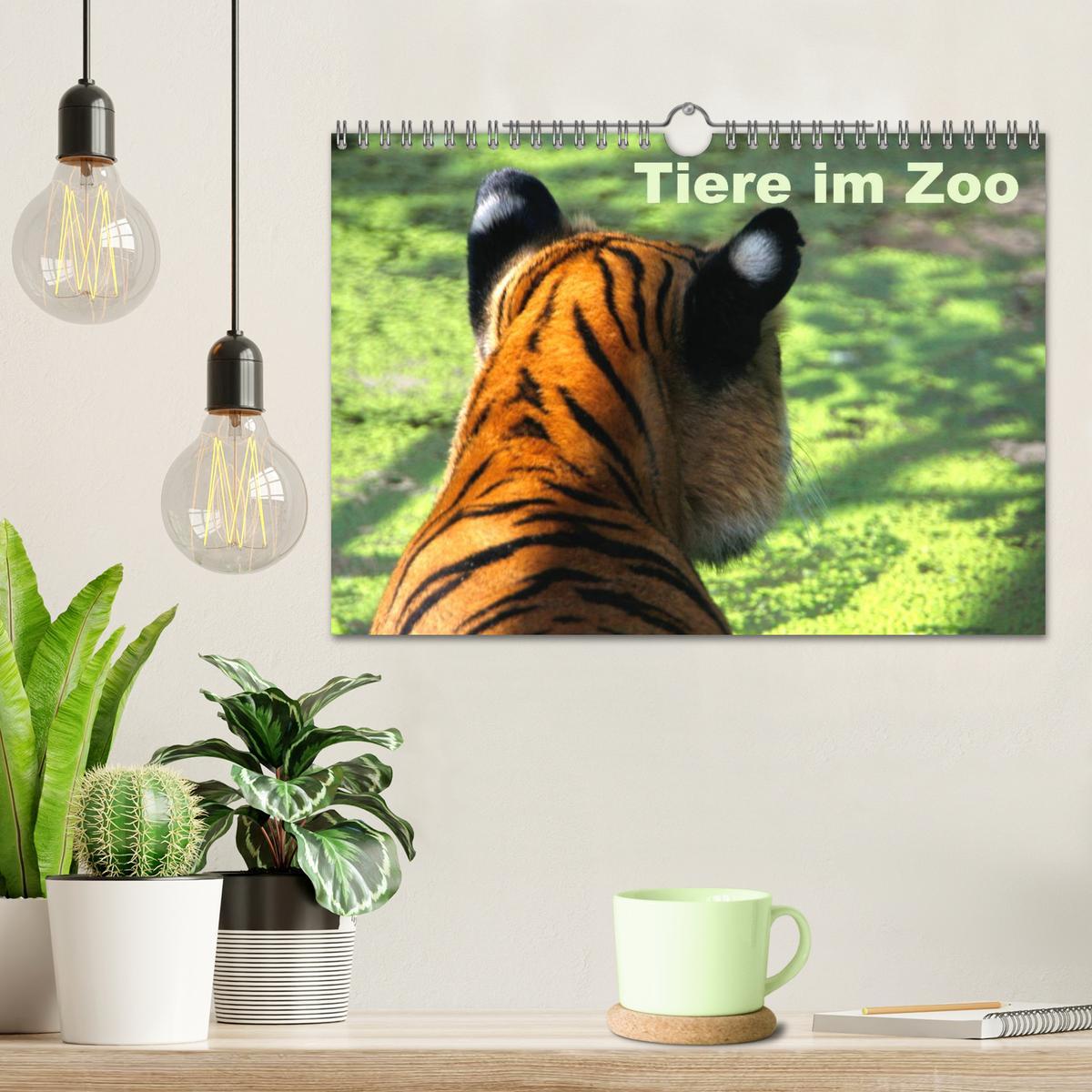 Bild: 9783435503582 | Tiere im Zoo (Wandkalender 2025 DIN A4 quer), CALVENDO Monatskalender