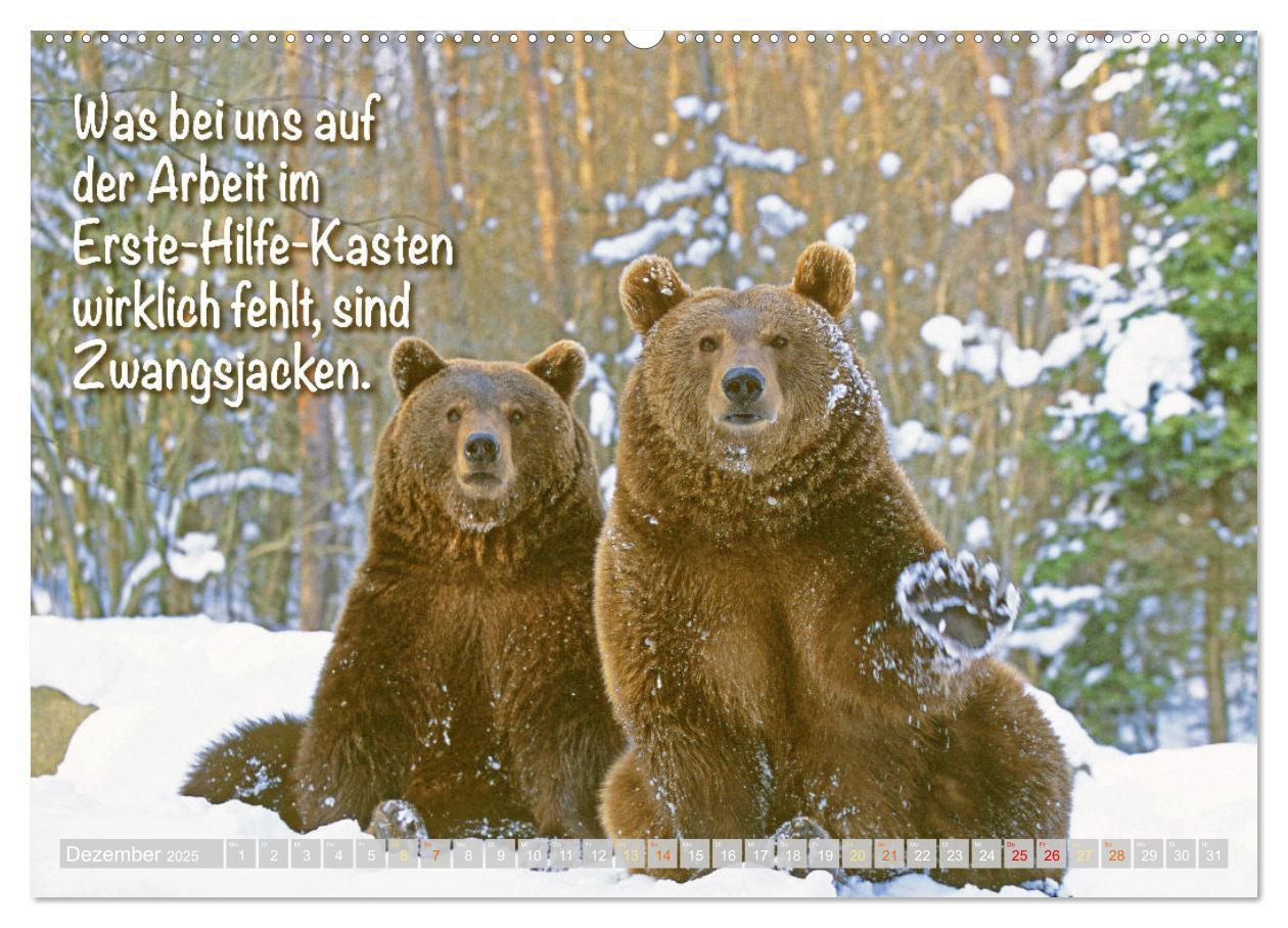 Bild: 9783383881398 | Spaß mit Bären: Edition lustige Tiere (Wandkalender 2025 DIN A2...