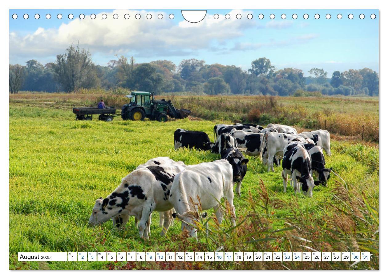 Bild: 9783435377480 | Land Brandenburg - Natur und Erholung im märkischen Land...