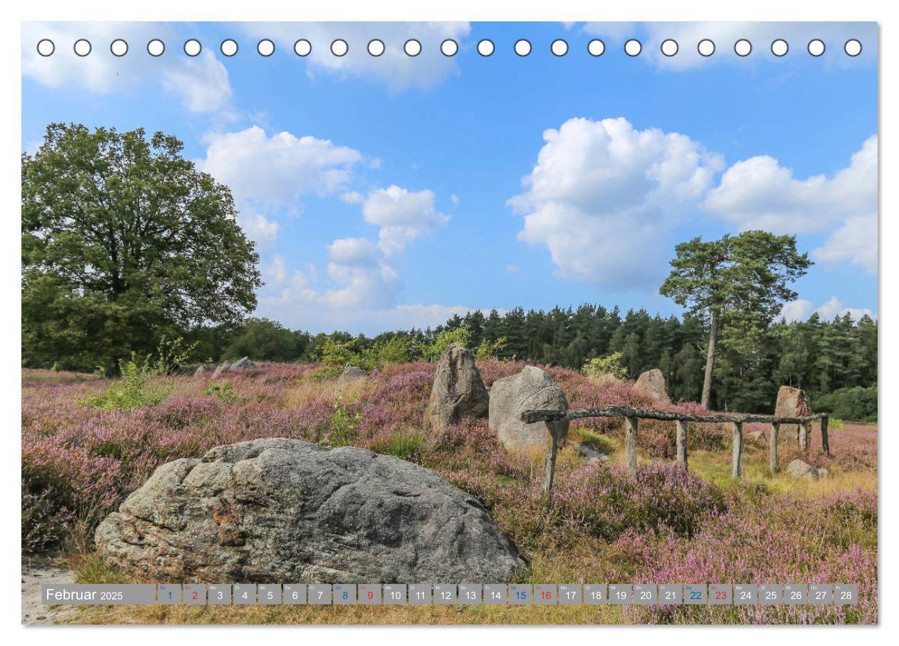 Bild: 9783435457632 | Lüneburger Heide - Faszinierend schön (Tischkalender 2025 DIN A5...