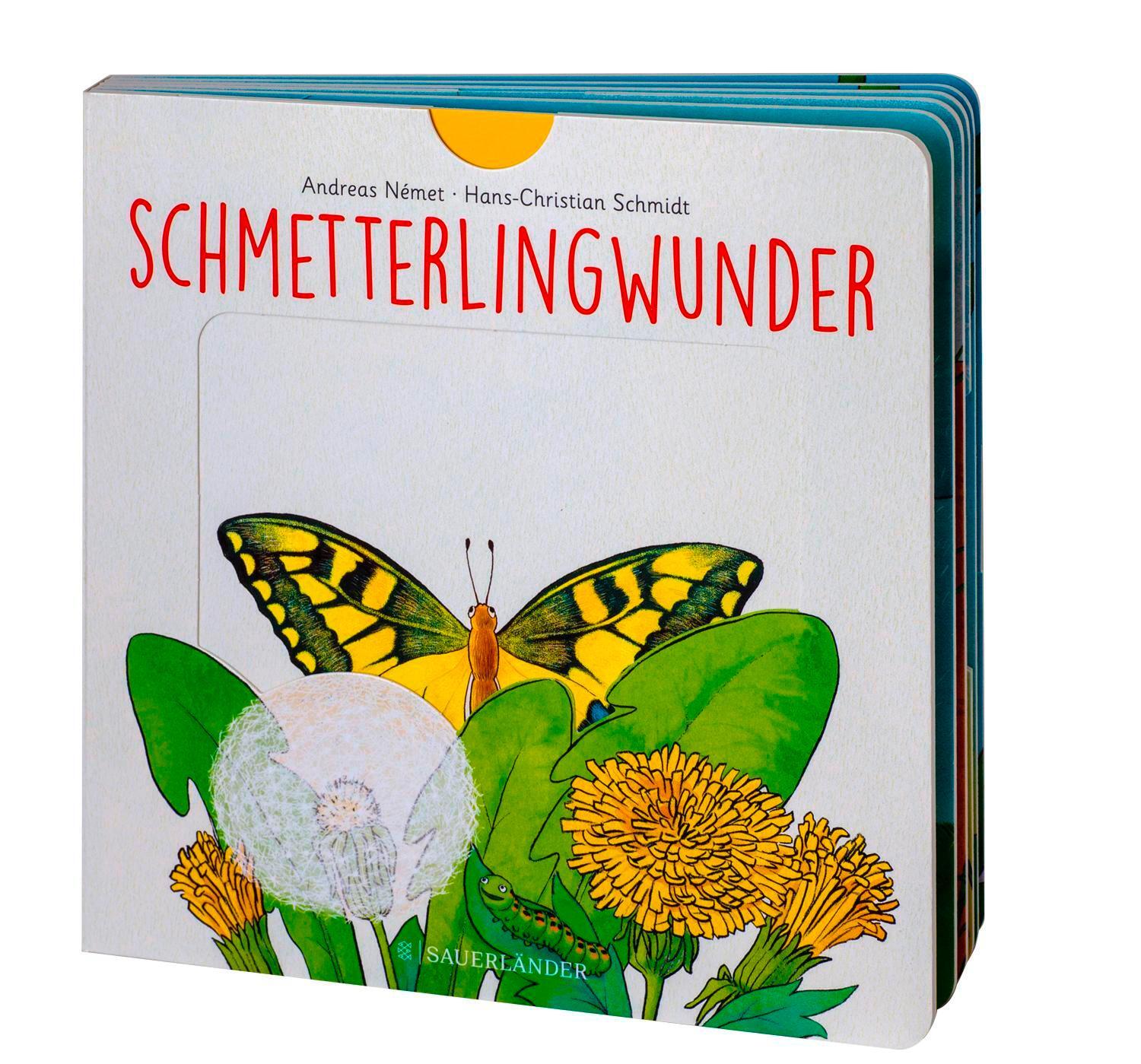 Bild: 9783737356954 | Schmetterlingwunder | Hans-Christian Schmidt | Buch | 12 S. | Deutsch