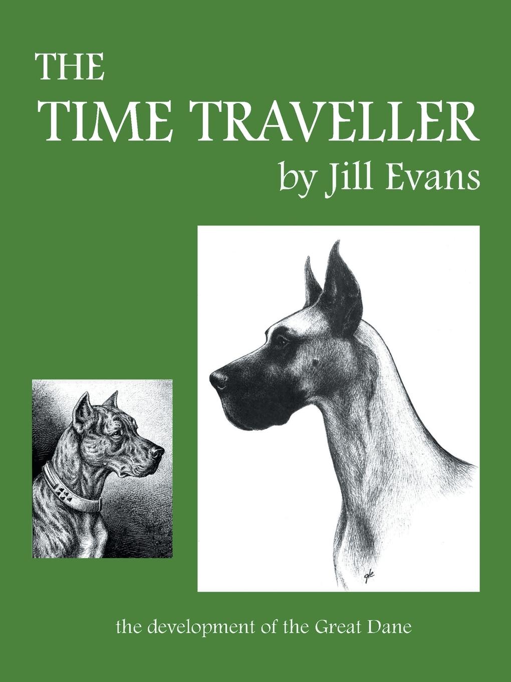 Cover: 9781491715161 | The Time Traveller | Jill Evans | Taschenbuch | Englisch | 2013