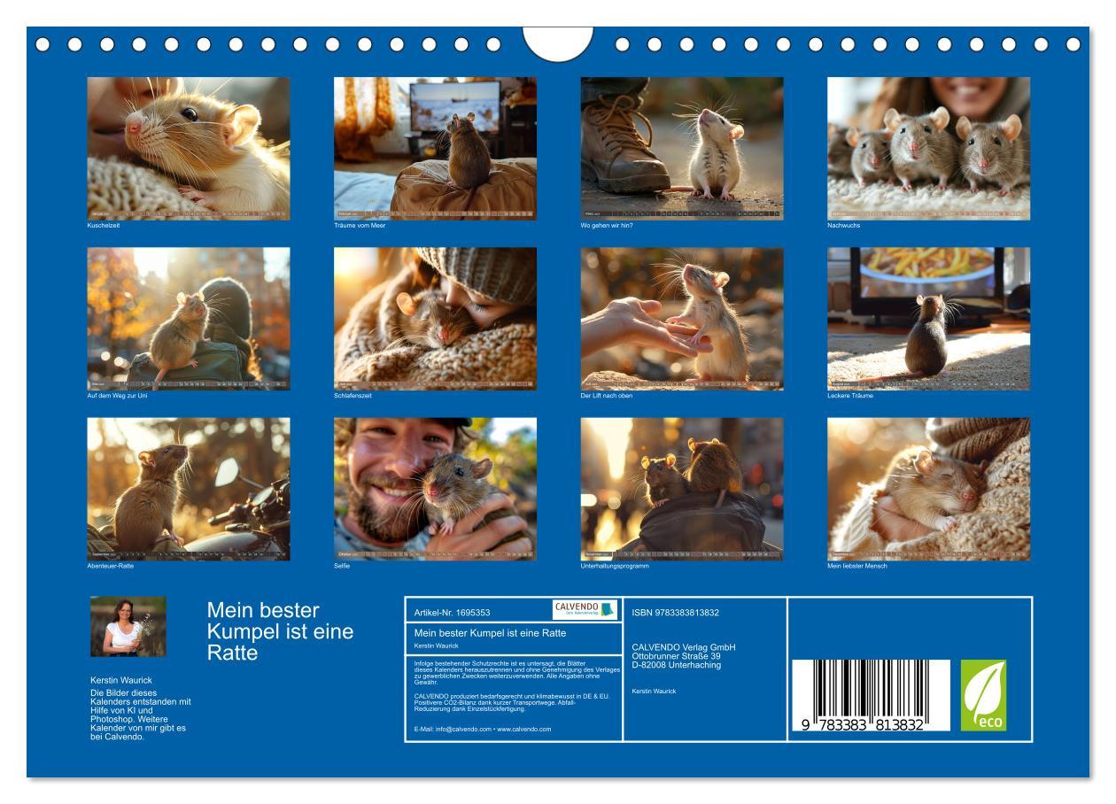 Bild: 9783383813832 | Mein bester Kumpel ist eine Ratte (Wandkalender 2025 DIN A4 quer),...