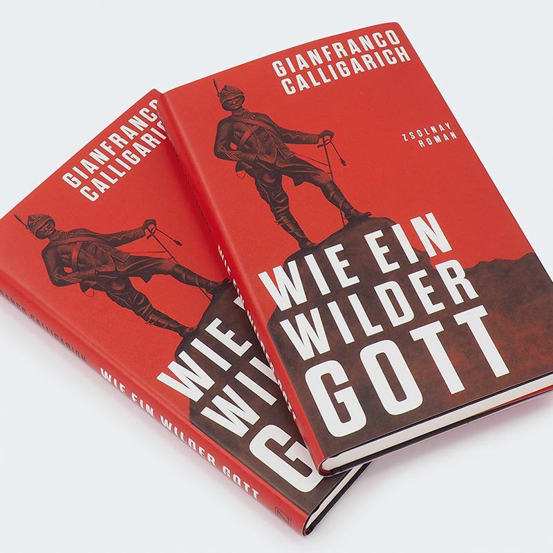 Bild: 9783552075108 | Wie ein wilder Gott | Roman | Gianfranco Calligarich | Buch | 208 S.