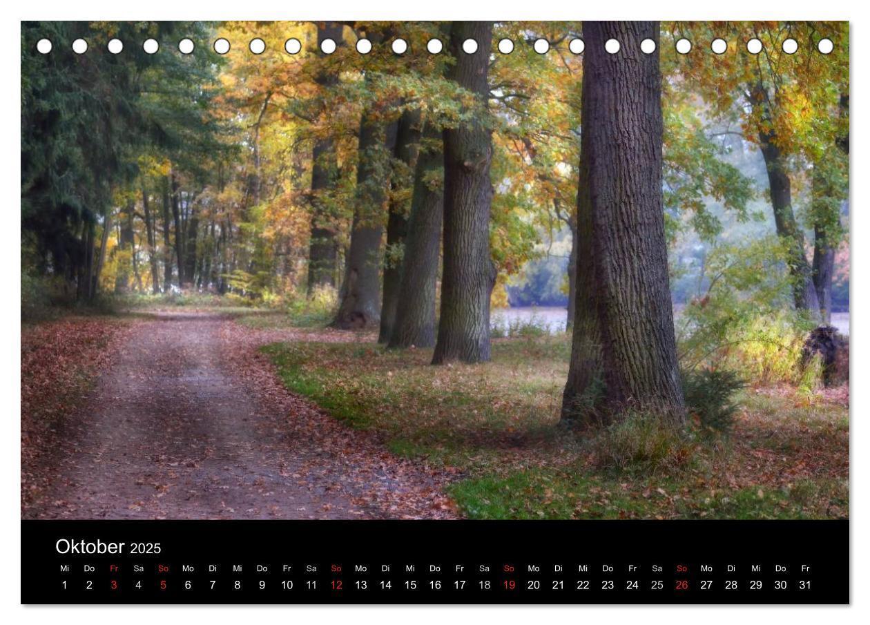 Bild: 9783435792542 | Märchenkulissen II (Tischkalender 2025 DIN A5 quer), CALVENDO...