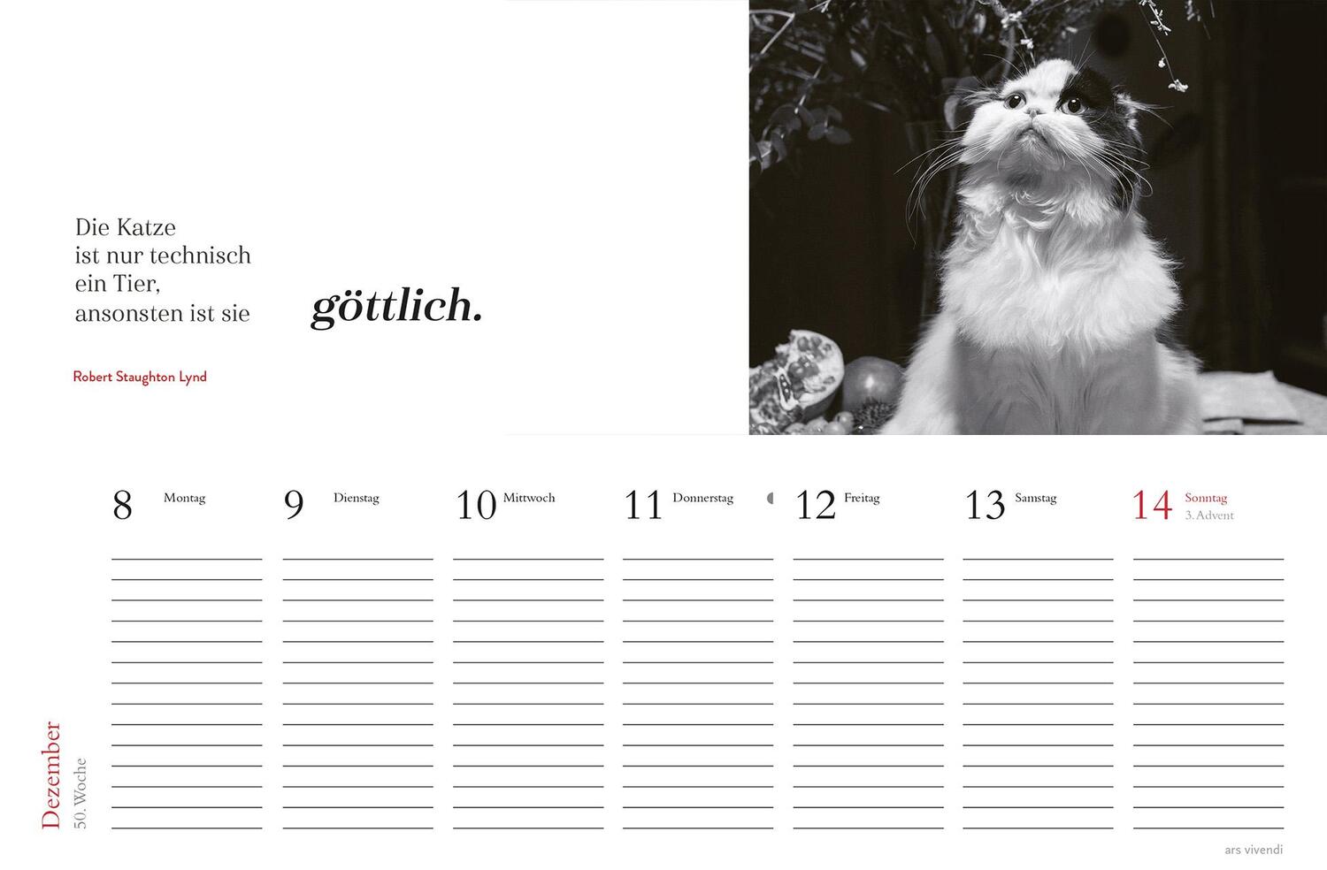 Bild: 9783747205716 | Tischkalender Katzen 2025 | Tischkalender | ars vivendi verlag | 53 S.