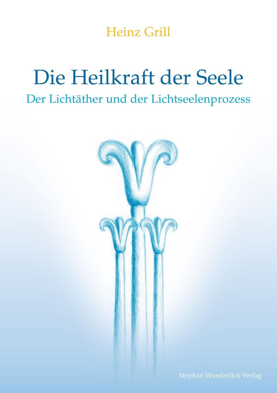 Cover: 9783981720020 | Die Heilkraft der Seele | Der Lichtäther und der Lichtseelenprozess