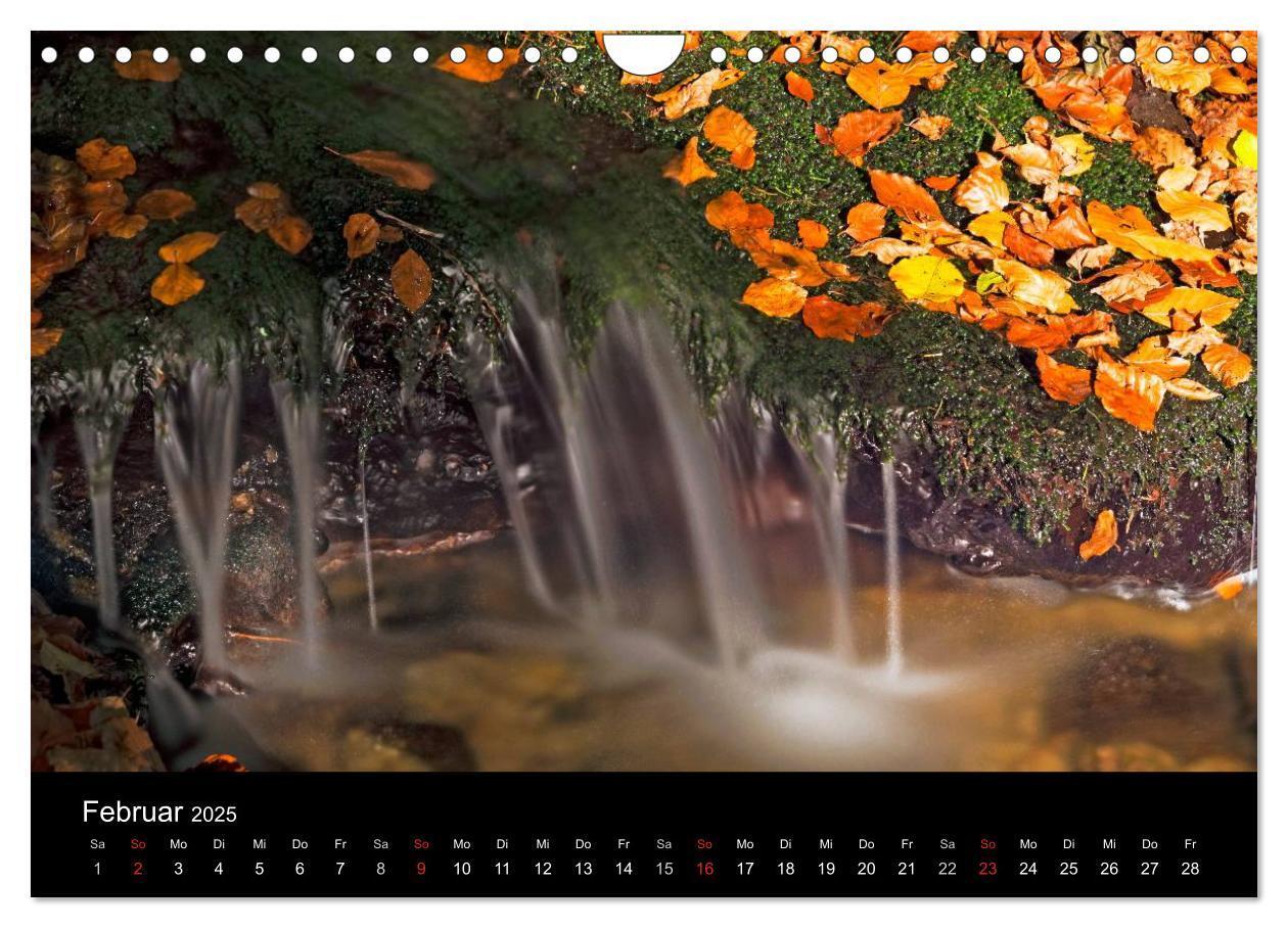 Bild: 9783435537990 | Herbst im Nationalpark Bayerischer Wald (Wandkalender 2025 DIN A4...