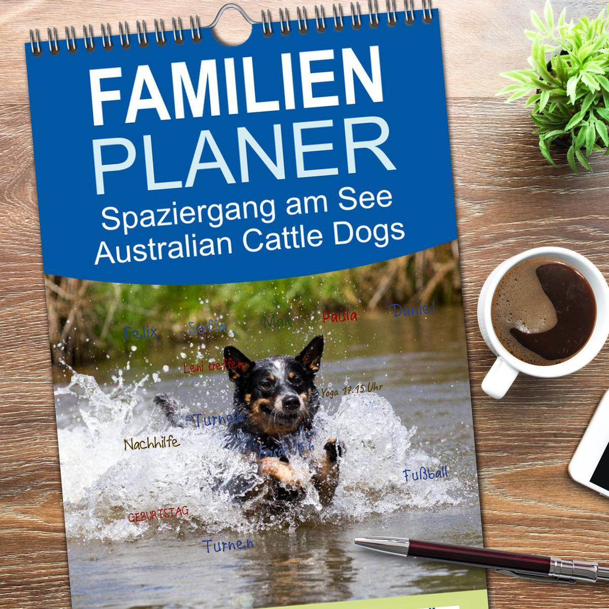 Bild: 9783457118481 | Familienplaner 2025 - Spaziergang am See Australian Cattle Dogs mit...