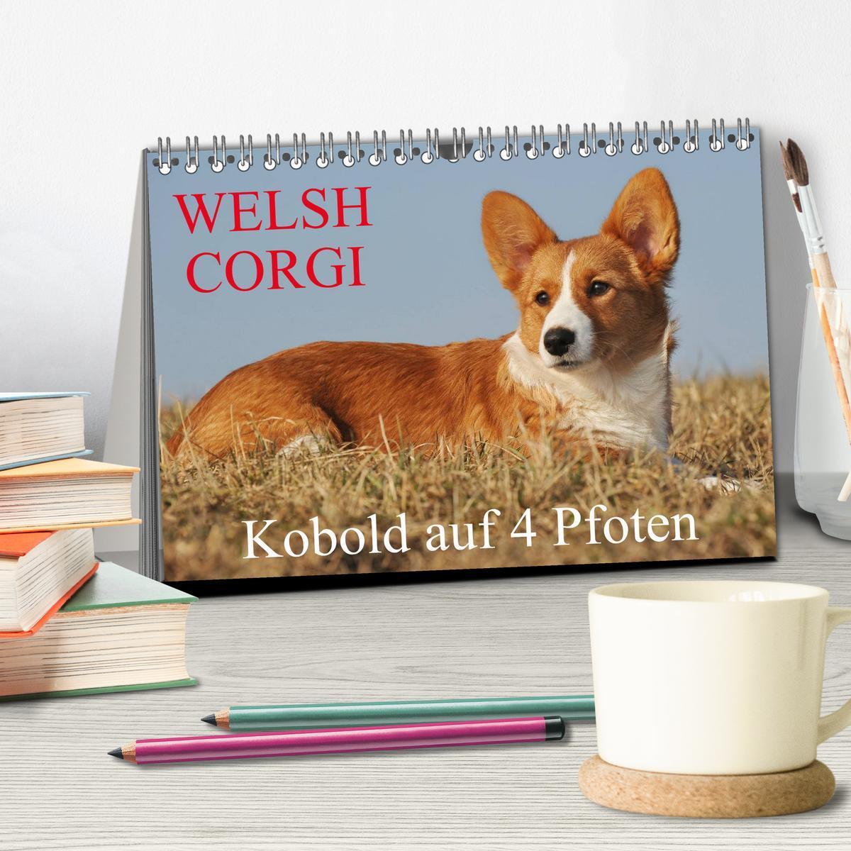 Bild: 9783435669868 | Welsh Corgi - Kobold auf 4 Pfoten (Tischkalender 2025 DIN A5 quer),...