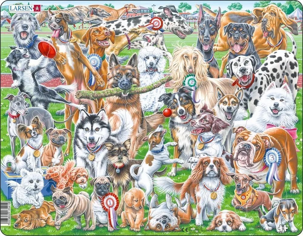 Cover: 7023852135419 | Puzzle - Süße und verspielte Hunde (Selfie/Gruppenbild) | Spiel | 2023