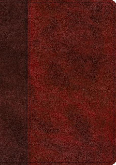 Cover: 9781433568732 | ESV Single Column Journaling Bible, Large Print (Trutone,...