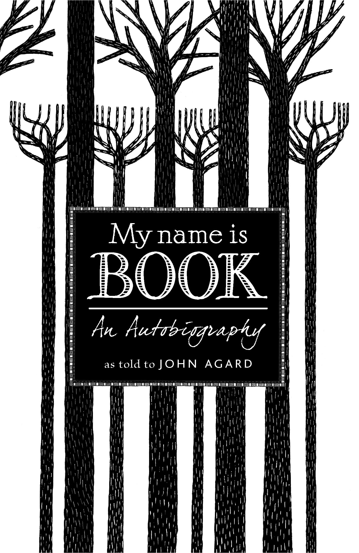 Cover: 9781406368987 | My Name Is Book | John Agard | Taschenbuch | Kartoniert / Broschiert