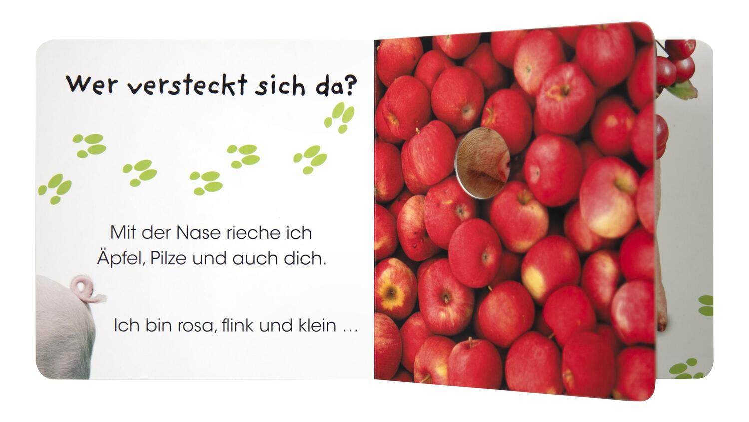 Bild: 9783831039456 | Wer versteckt sich da. Tiere auf dem Bauernhof | Sandra Grimm | Buch