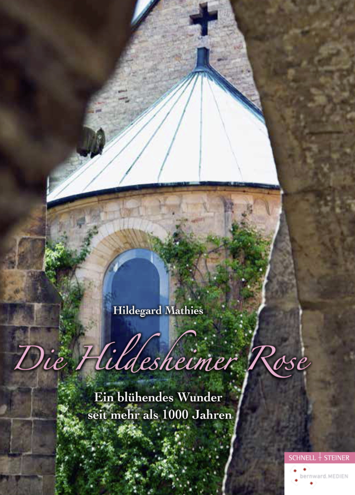 Cover: 9783795429416 | Die Hildesheimer Rose | Ein blühendes Wunder seit mehr als 1000 Jahren