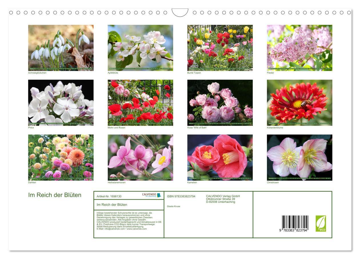 Bild: 9783383823794 | Im Reich der Blüten (Wandkalender 2025 DIN A3 quer), CALVENDO...