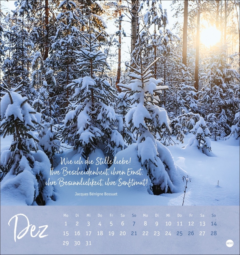 Bild: 9783756407118 | Unser Wald Postkartenkalender 2025 - zauberhafter Ort der Kraft | 2025