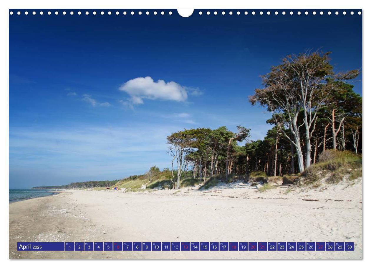 Bild: 9783435781973 | Weststrand Darß (Wandkalender 2025 DIN A3 quer), CALVENDO...