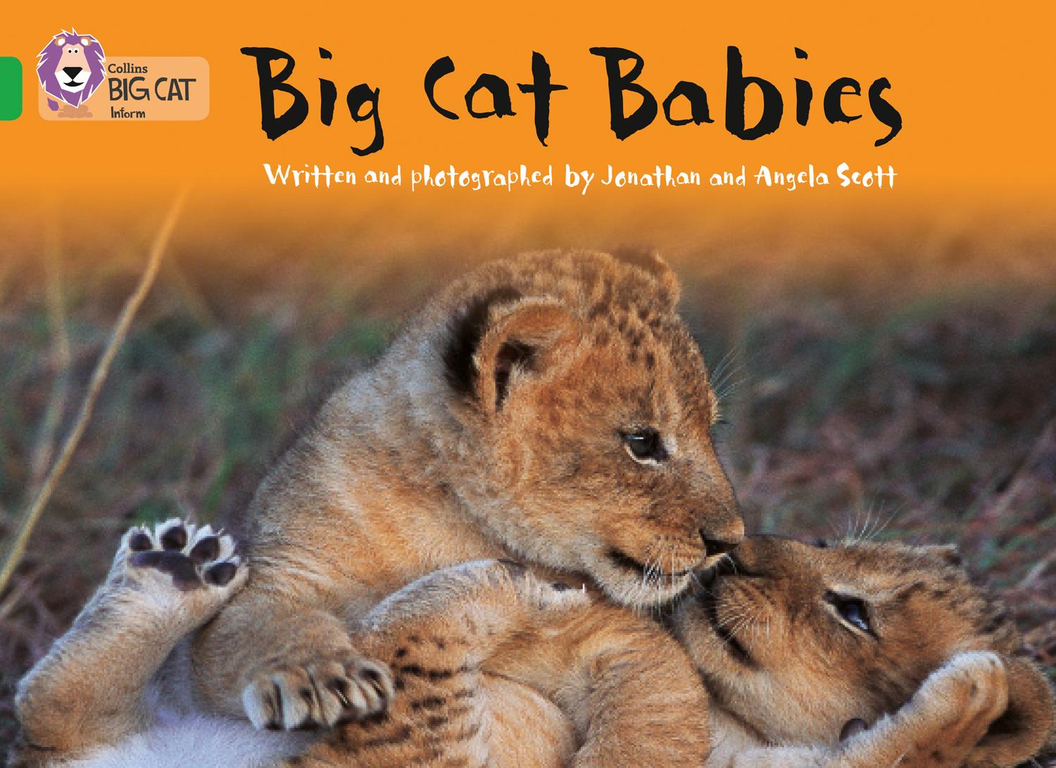 Cover: 9780007185948 | Big Cat Babies | Band 05/Green | Angela Scott (u. a.) | Taschenbuch