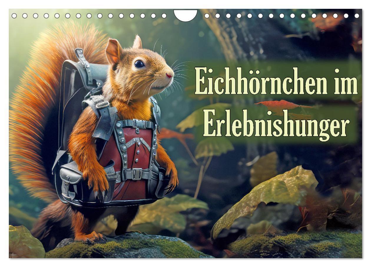 Cover: 9783383836749 | Eichhörnchen im Erlebnishunger (Wandkalender 2025 DIN A4 quer),...