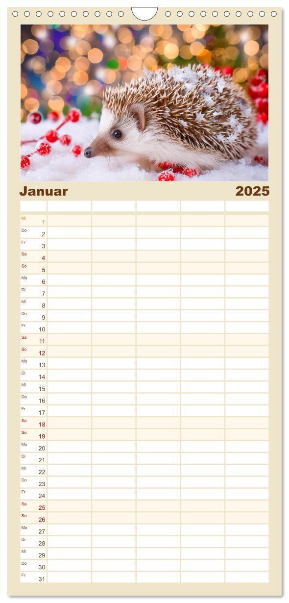 Bild: 9783457193037 | Familienplaner 2025 - Mein Igel-Kalender mit 5 Spalten...