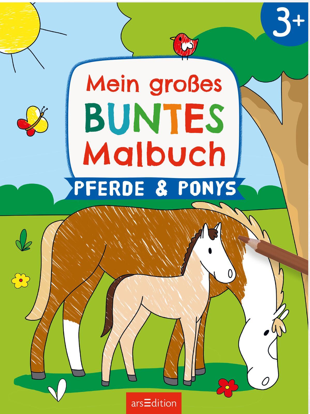 Cover: 9783845858005 | Mein großes buntes Malbuch - Pferde und Ponys | Ab 3 Jahren | Kraus