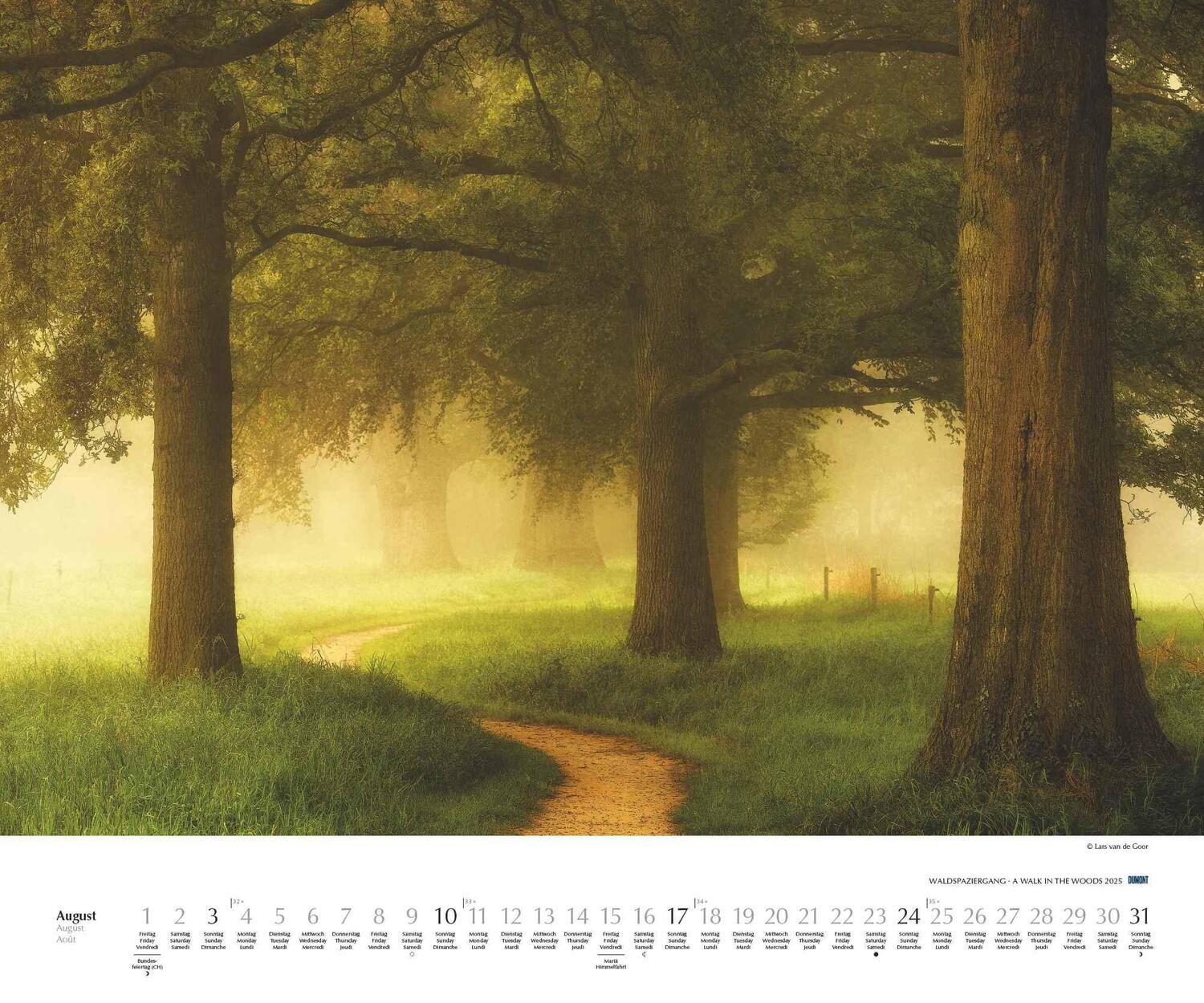 Bild: 4250809653426 | Waldspaziergang 2025 - Fotokunst-Kalender - Querformat 60 x 50 cm -...