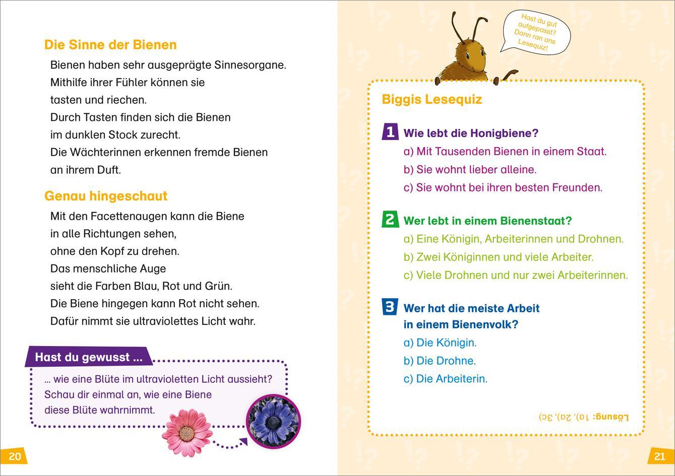 Bild: 9783788626433 | WAS IST WAS Erstes Lesen Band 5. Bienen | Christina Braun | Buch