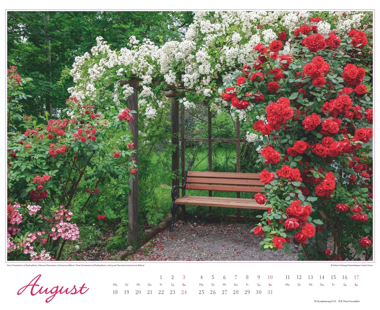 Bild: 4250809653457 | DUMONT - Im Rosengarten 2025 Wandkalender, 52x42,5cm,...