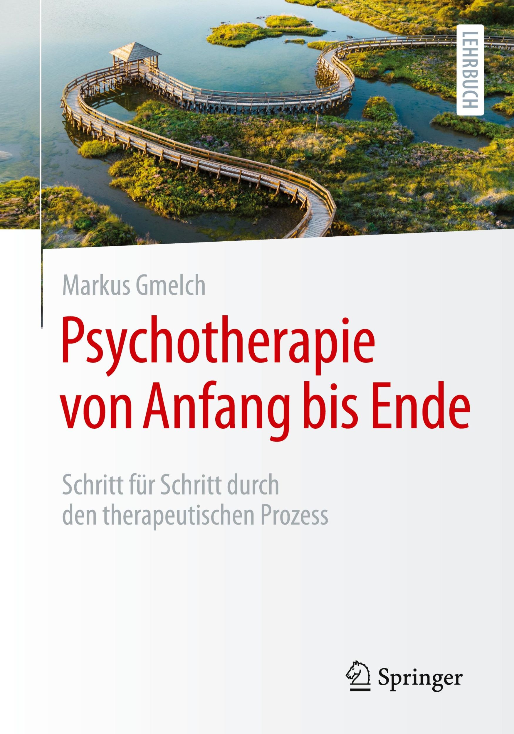 Cover: 9783662684894 | Psychotherapie von Anfang bis Ende | Markus Gmelch | Taschenbuch | xi