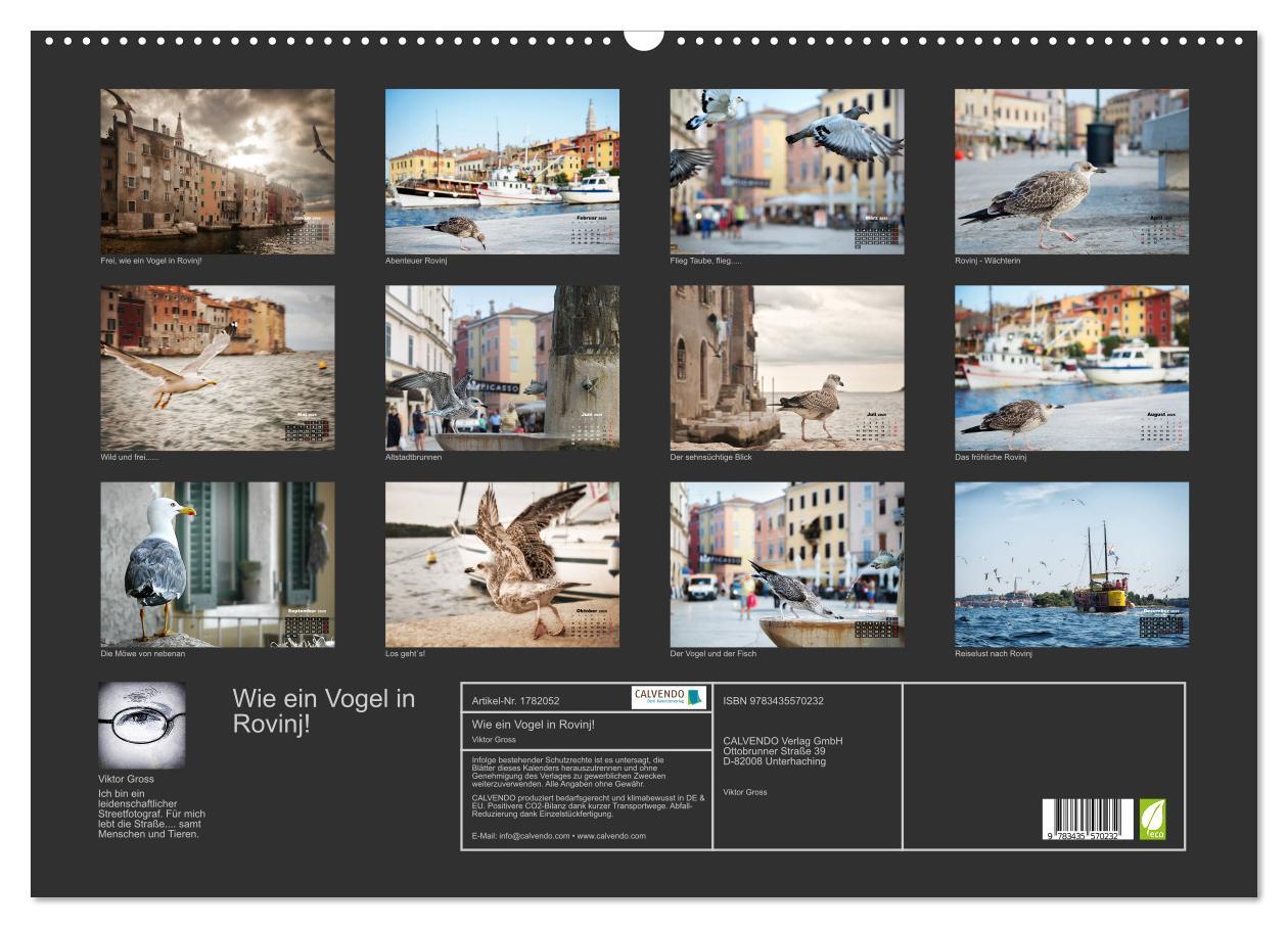 Bild: 9783435570232 | Wie ein Vogel in Rovinj! (Wandkalender 2025 DIN A2 quer), CALVENDO...